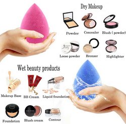 Beauty Queen Makeup Blender Get 6 pcs Of Expandable Sponges