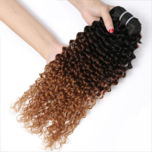 Ombre Curly Human Hair Extensions