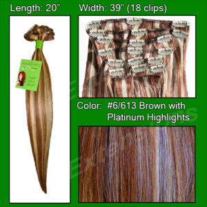 #6/613 Chestnut Brown w/ Platinum Highlights – 20 inch Remi