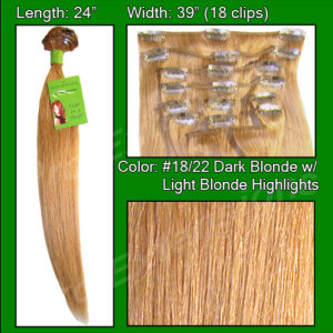 #18/22 Dark Blonde with Golden Highlights – 24 inch Remy