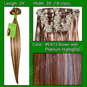 #6/613 Chestnut Brown w/ Platinum Highlights – 24 inch Remy