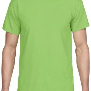 . Case of [12] Irregular Gildan T-Shirts – Lime, 2 X .